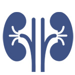 Renal Medicine (Kidneys)