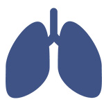 Respiratory Medicine (Lungs)